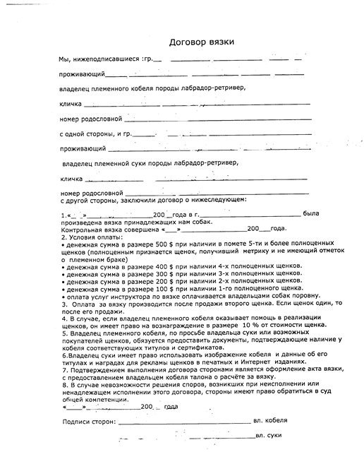 Что такое алиментный щенок: плюсы сделки и оформление документов