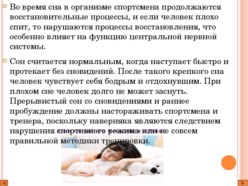 Кот много спит: причины состояния, опасность и существующая норма | блог ветклиники "беланта"