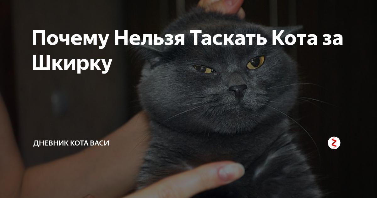 Нельзя для таксы