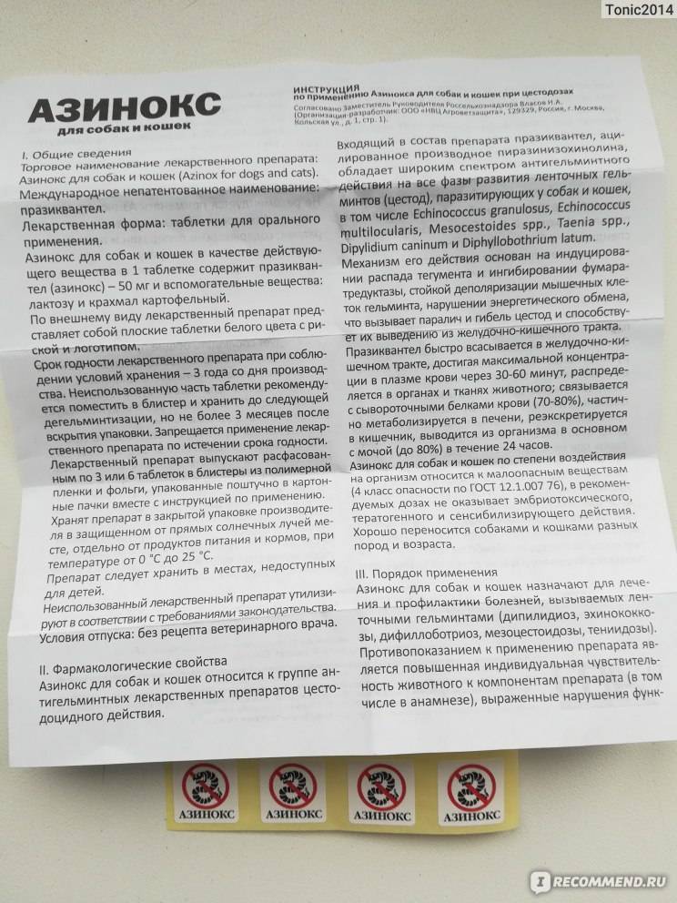 Глисты: к какому врачу обращаться. лечение гельминтозов