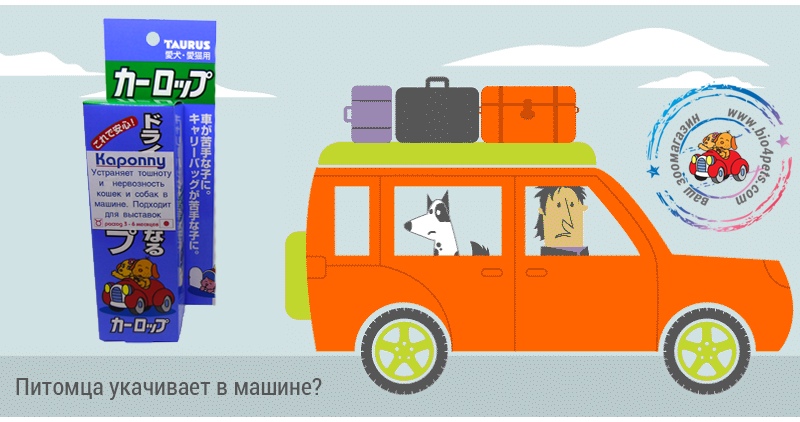 Что делать чтобы собаку не укачивало в машине: средства от тошноты в автомобиле