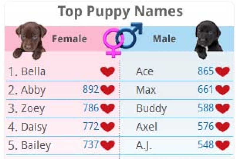 Клички для сучек. Имена для собак. Имя для щенка. Красивые имена для собак девочек. Популярные имена собак.