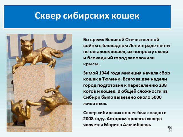 Сквер сибирских кошек в тюмени: описание, как добраться, фото
