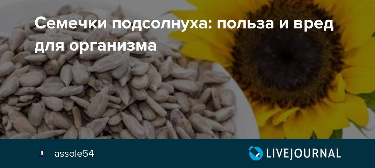 [новое исследование] можно ли попугаям грецкие орехи, кокос и арахис
