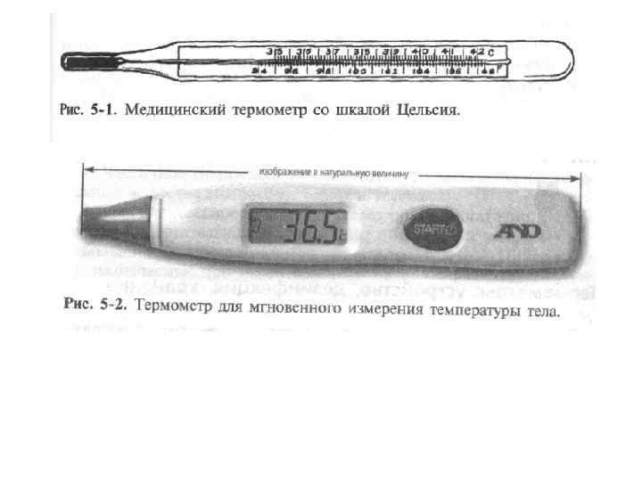 Как измерить температуру собаке дома – правильный способ