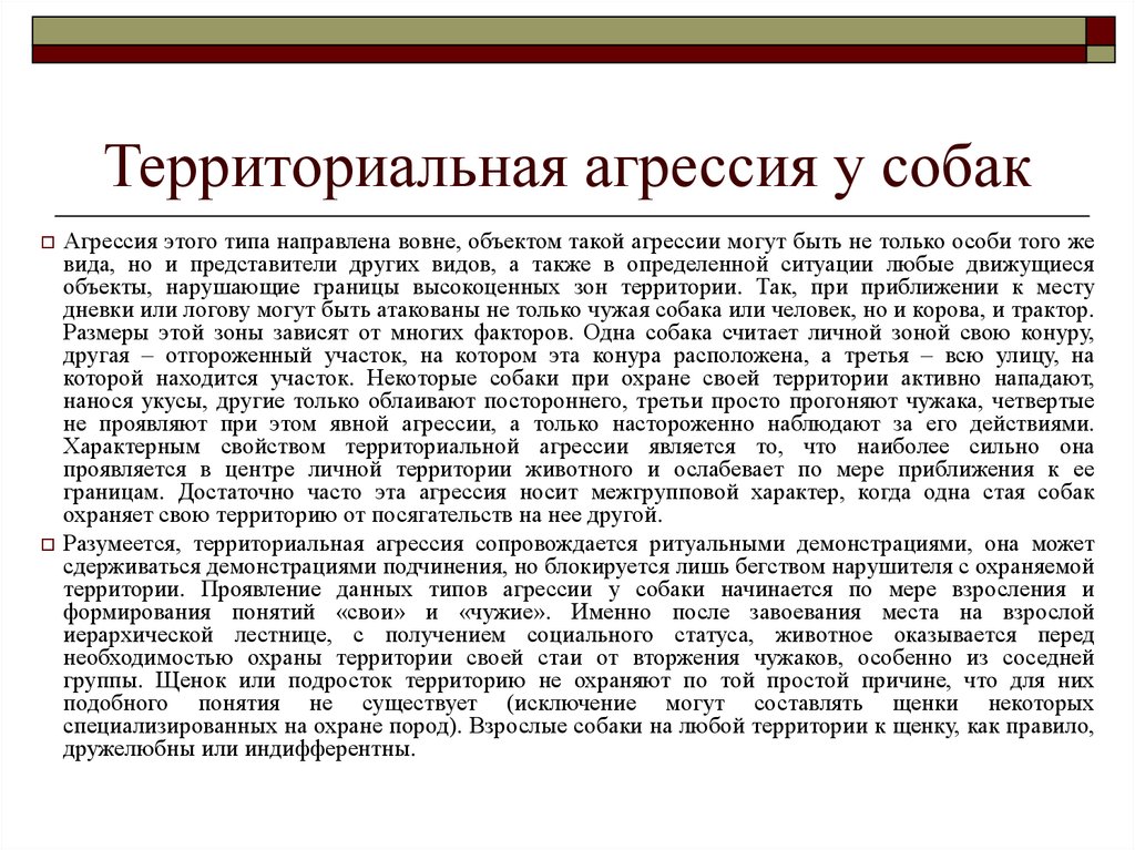 Территориальная агрессия у собак: причины, проявление и коррекция