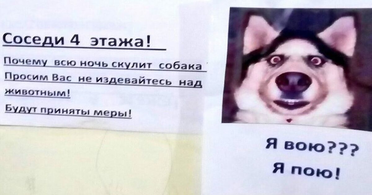 Как отучить собаку выть и скулить: способы