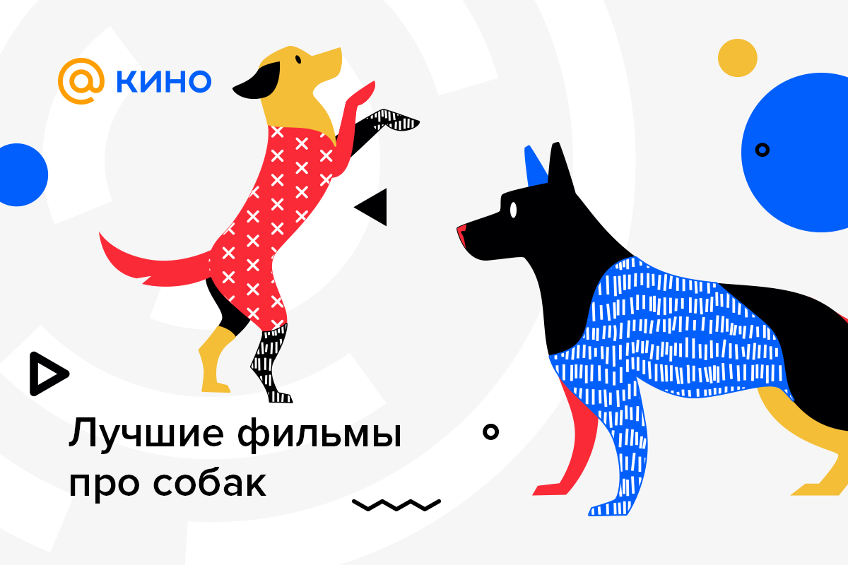 Праздники животных -  собаки и щенки