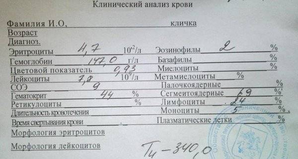 Собака мочится с кровью: причины и лечение