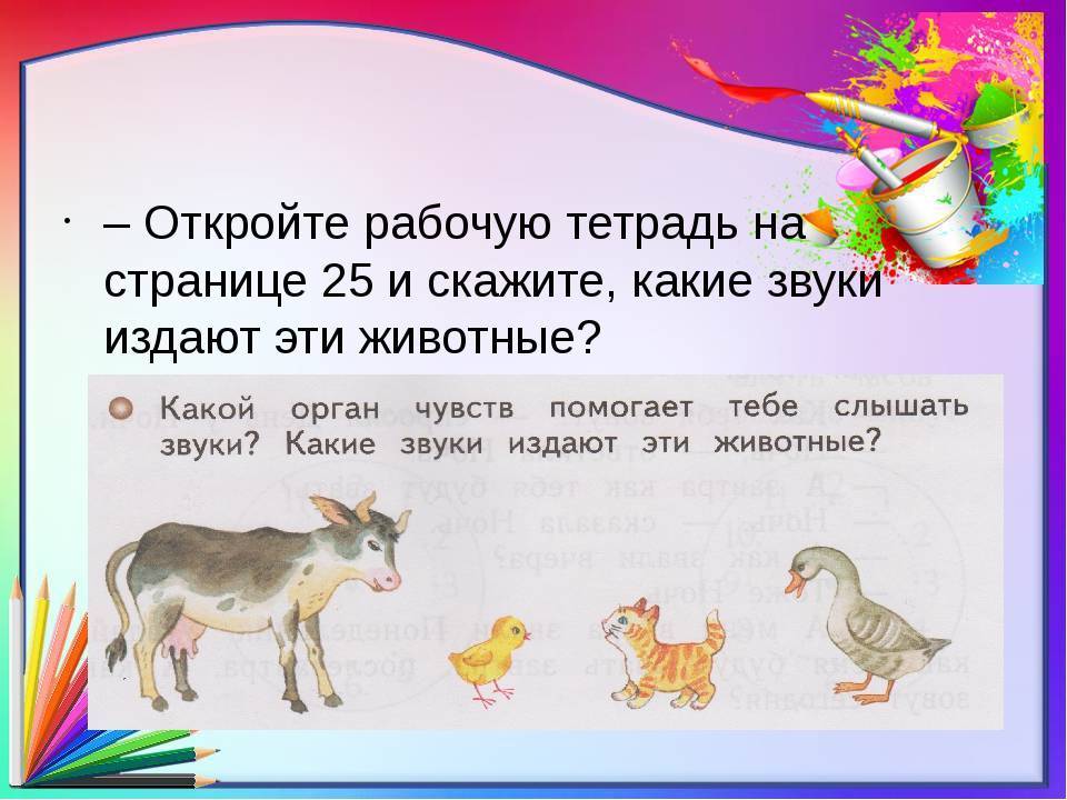 Какие звуки издают кролики
