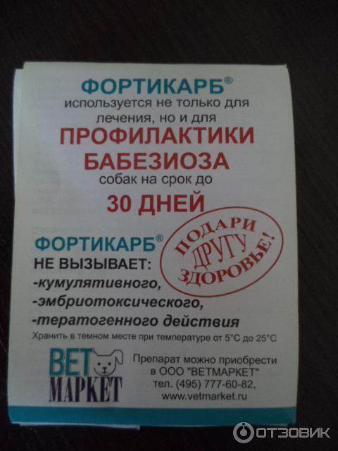 Фортикарб для собак: инструкция по применению и дозировка