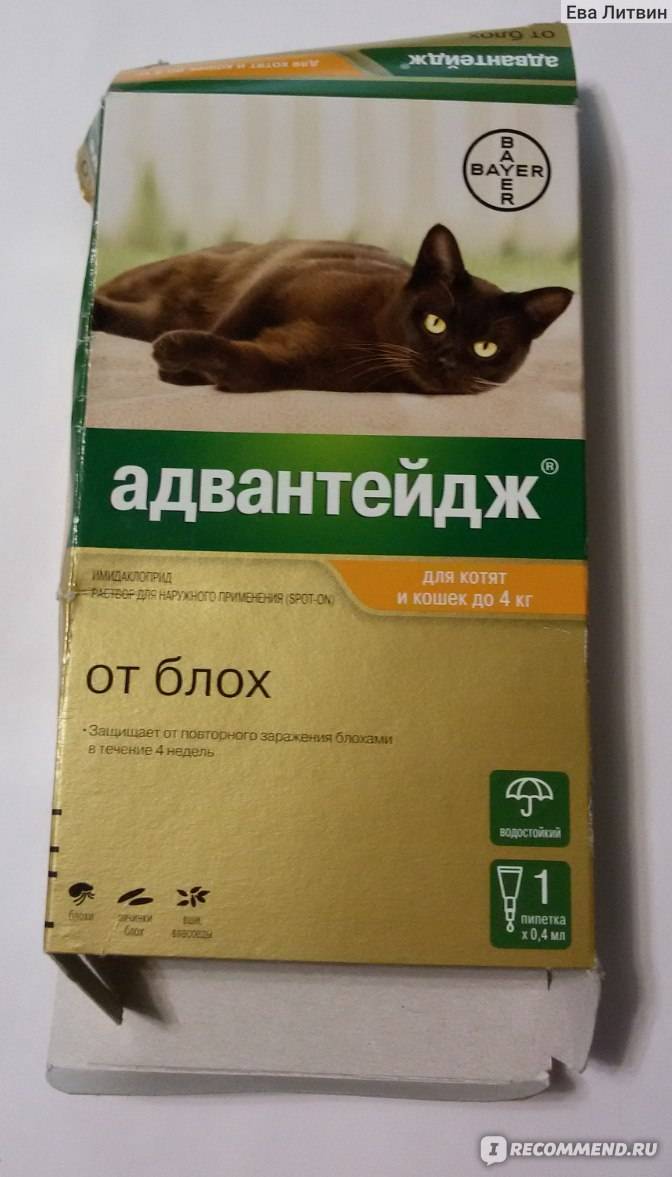Адвантейдж для кошек
