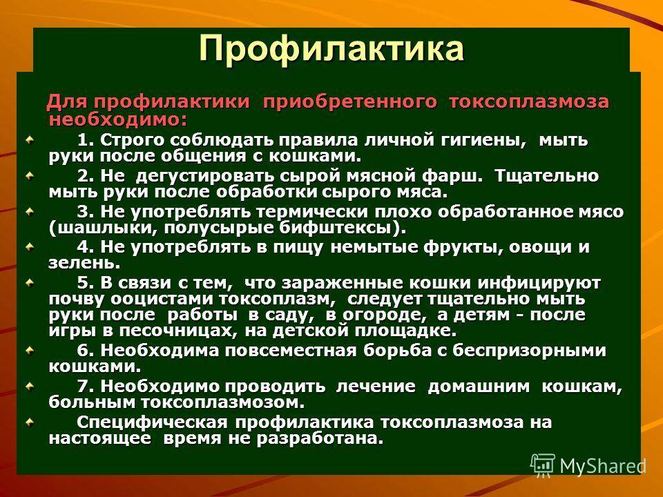 Токсоплазмоз у кошек