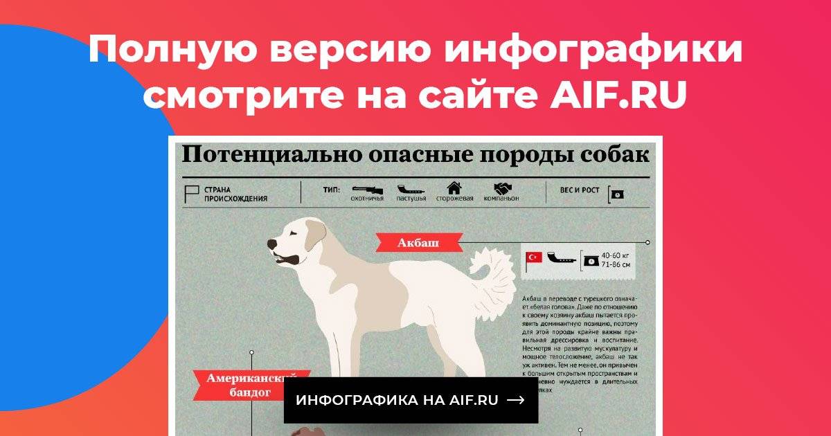 Потенциально опасные породы собак — утверждённый список