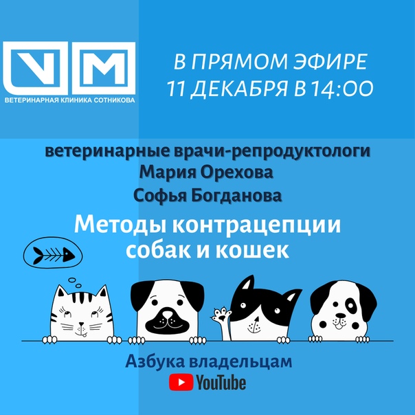 Как зарегистрировать питомник кошек?