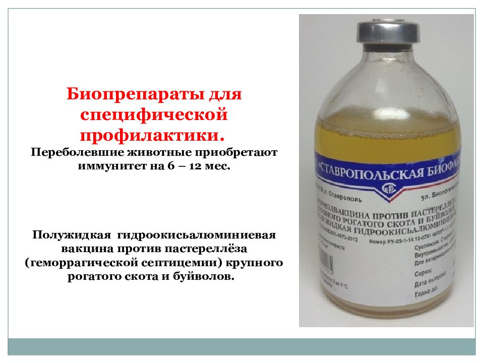 Симптомы и лечение пастереллеза у кроликов
симптомы и лечение пастереллеза у кроликов