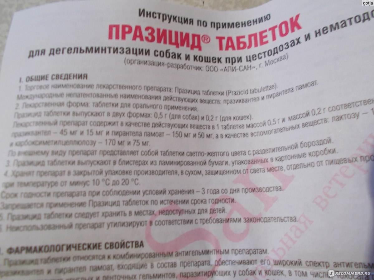 Празител – суспензия для щенков и собак мелких пород