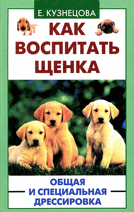 Как воспитывать щенка: с чего начать и как действовать