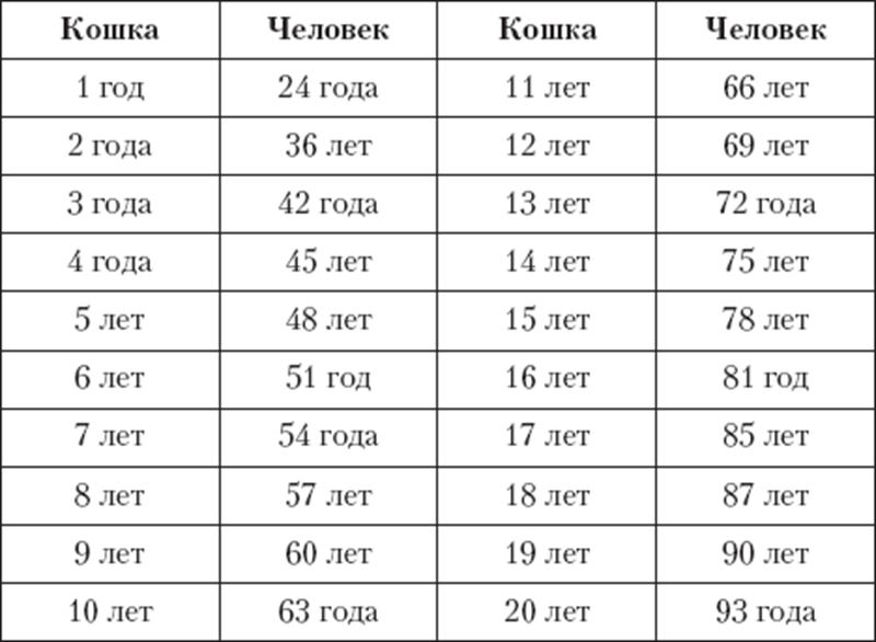 Срок жизни морских свинок: сколько в среднем живет розеточная и гладкошерстная