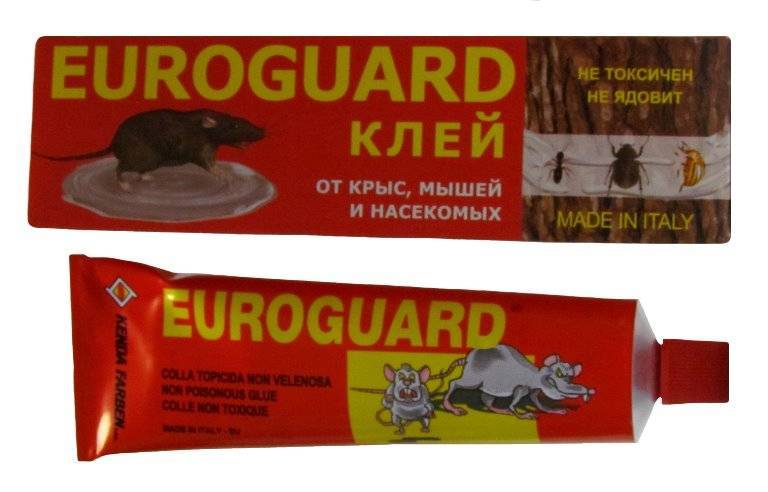 Отрава для крыс и мышей - эффективные средства, применение в домашних условиях и отзывы